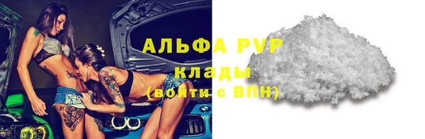 индика Армянск