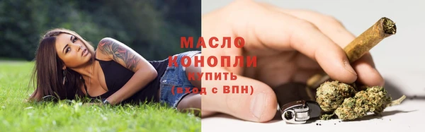 ешки Арсеньев