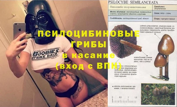 индика Армянск