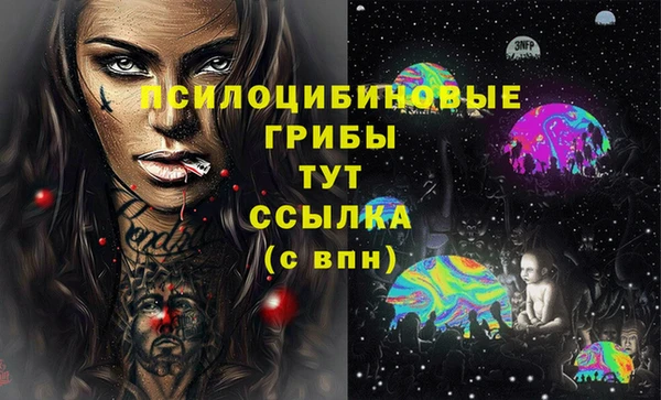 ешки Арсеньев
