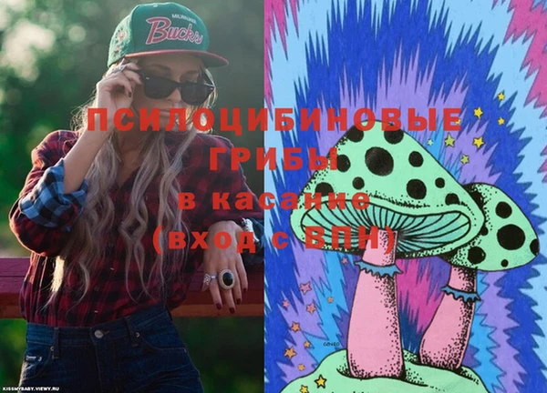 индика Армянск