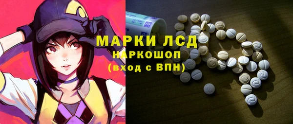 индика Армянск