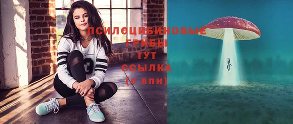 ешки Арсеньев